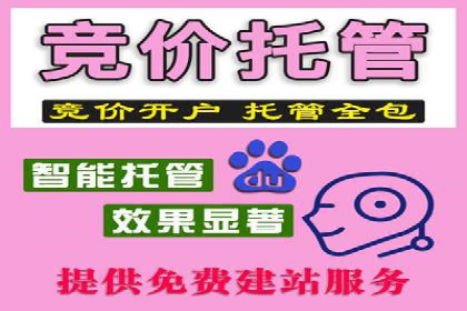 百度推广代运营案例分享：行业领先企业的成功经验